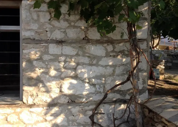 Tatil Evi Traditional Stone House In A Great Garden *